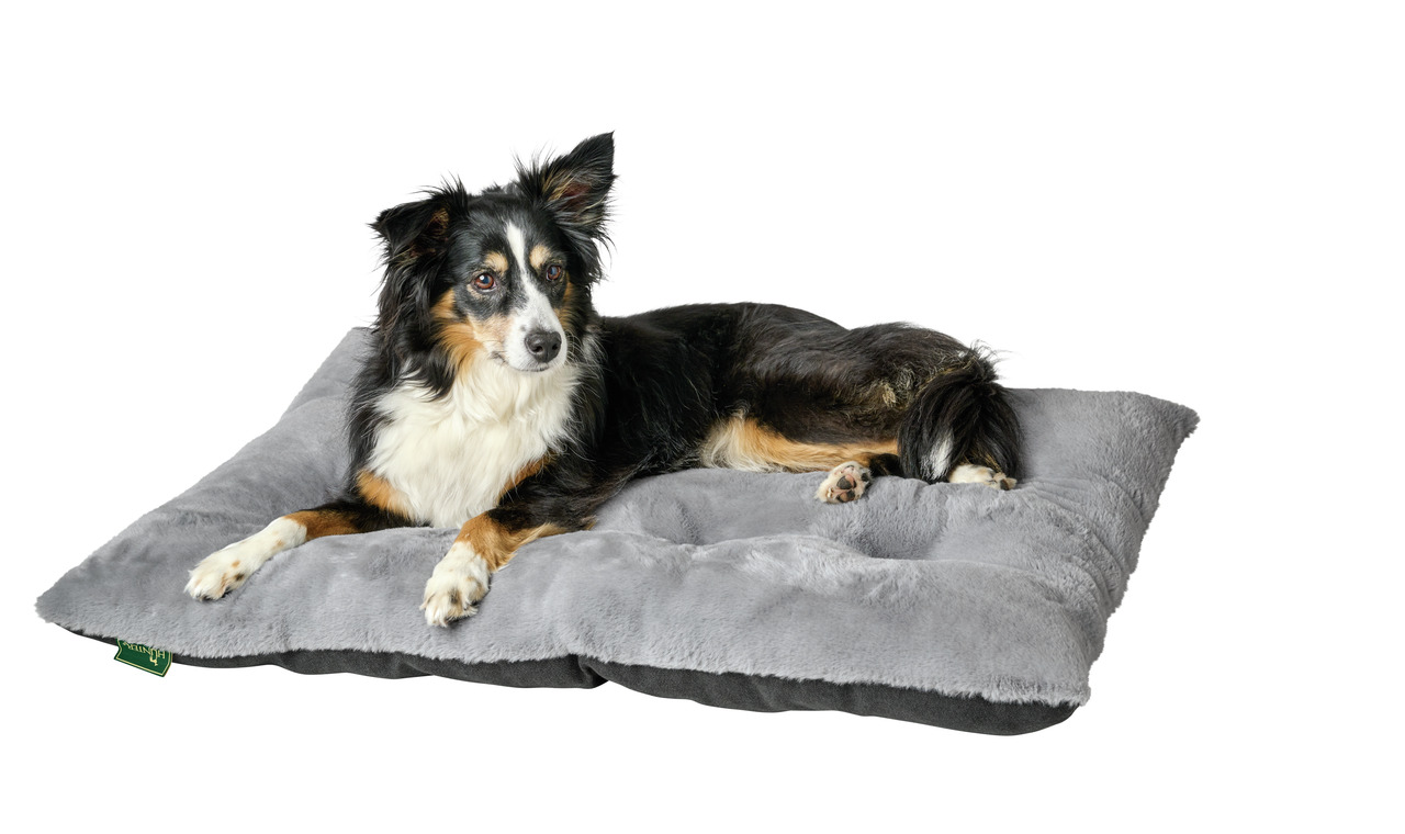 HUNTER Hundekissen, grau, für mittelgroße bis große Hunde, weich gepolstert, hoher Komfort, ideal für den Innenbereich.