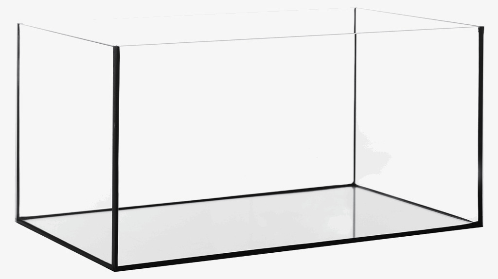 Aquatlantis Glasaquarium, 100L, für Süß--Meerwasserfische, klare Optik, ideal für Aquaristik-Enthusiasten.