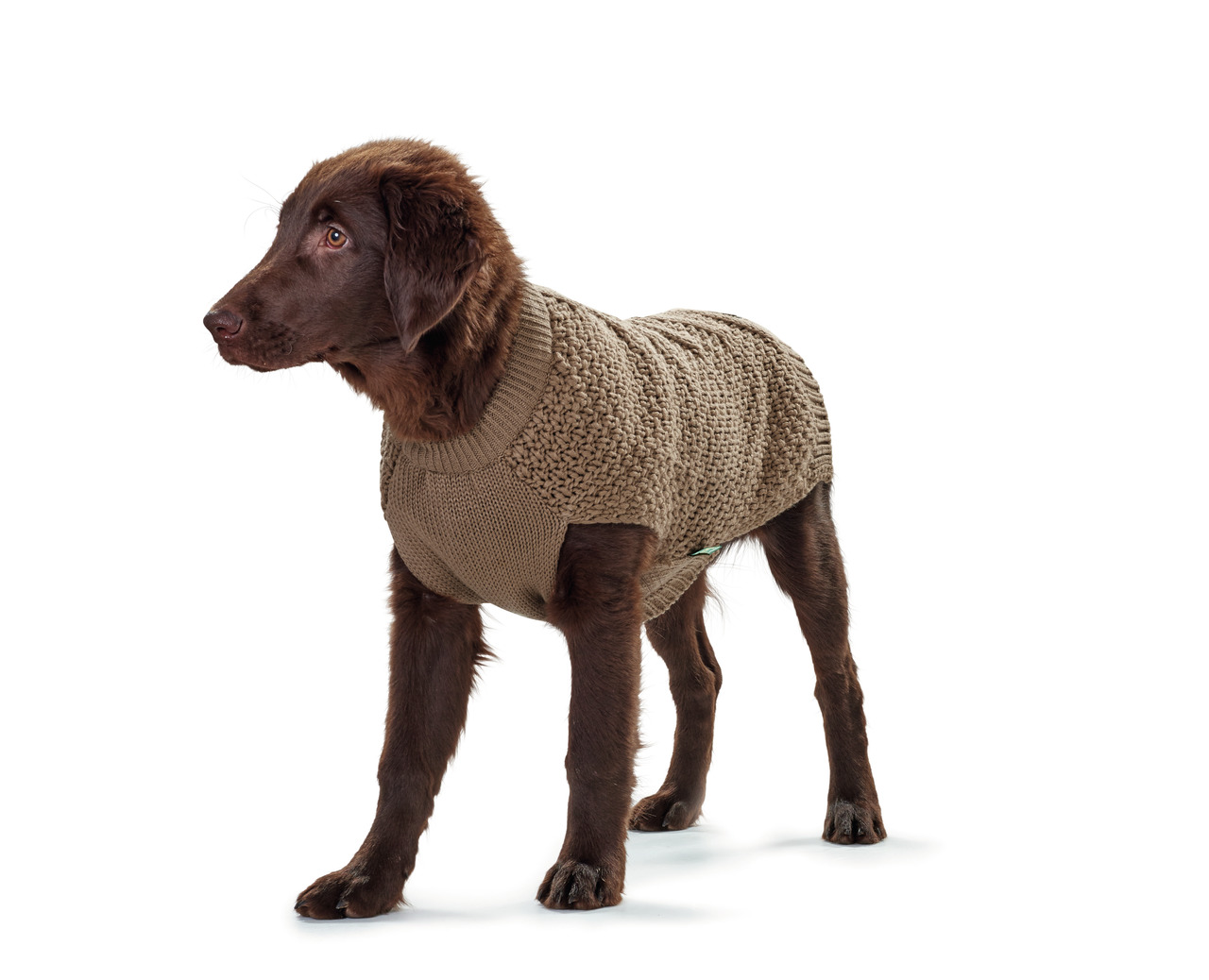 HUNTER Hundepullover Beige, für mittelgroße-große Hunde, warm & bequem an kalten Tagen, gestrickt.