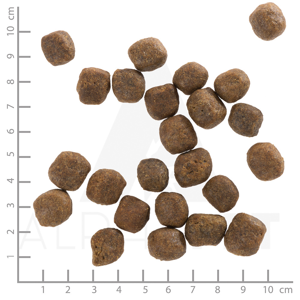 Wolfsblut Trockenfutter Hunde, "Wide Plain", Pferdefleisch, für ausgewachsene Hunde, Kroketten 1,5 cm, Maßstab 10 cm sichtbar.