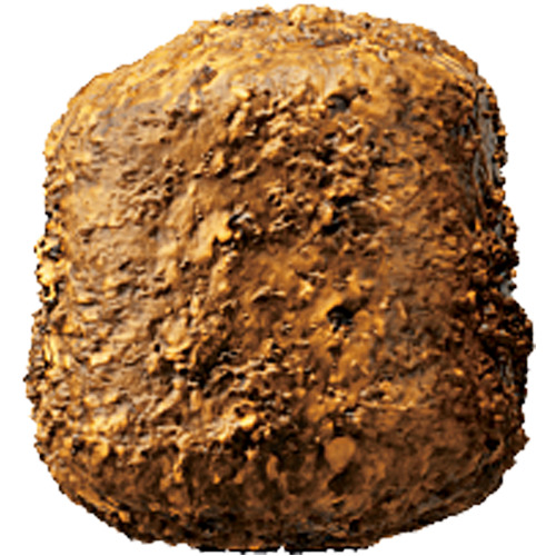 Das Bild zeigt ein einzelnes Stück Josera Knuspies, ein Snack für Hunde. Die Zielgruppe sind Hundehalter, die ihren Tieren eine schmackhafte Belohnung bieten möchten. Der Snack hat eine knusprige Textur und ist in einer braunen Farbe gehalten. Die Geschma