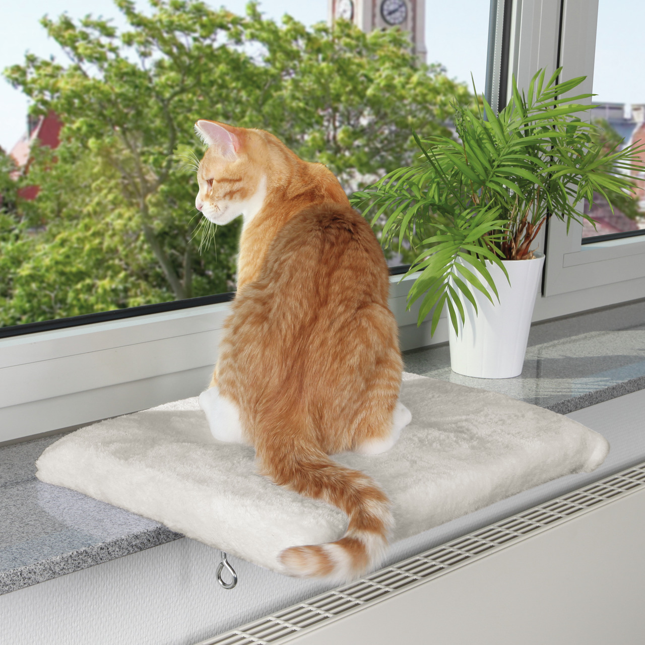 Weiches Fensterbrettkissen von TRIXIE für Katzen, ideal für Fensterbänke. Zielgruppe: Katzen. Farbe: Cremeweiß. Perfekt für gemütliche Ruhepausen mit Blick nach draußen. Maße: ca. 50 x 35 cm. Das Bild zeigt eine Katze auf dem Kissen, neben einer Pflanze, 