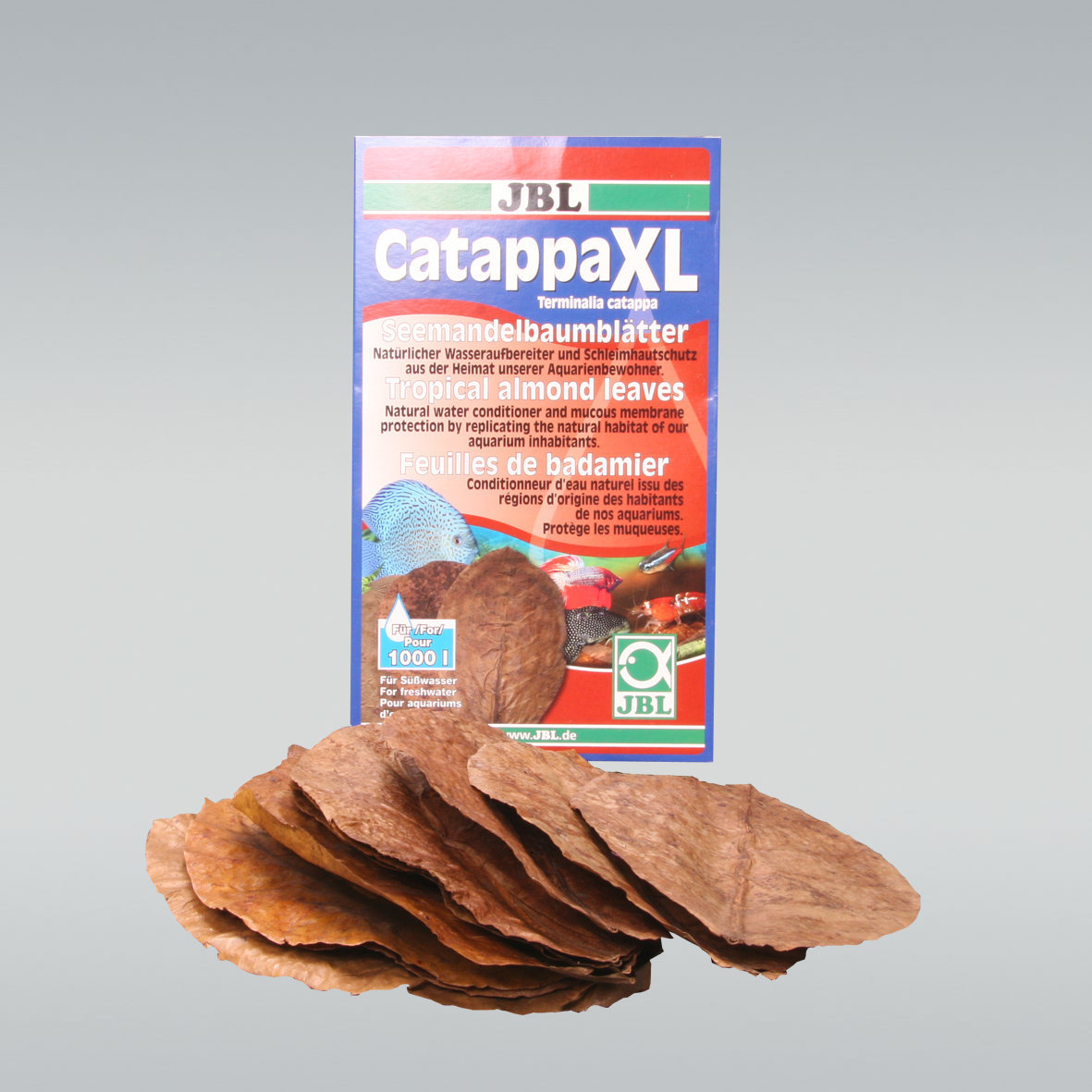 JBL Catappa XL 10 Blatt