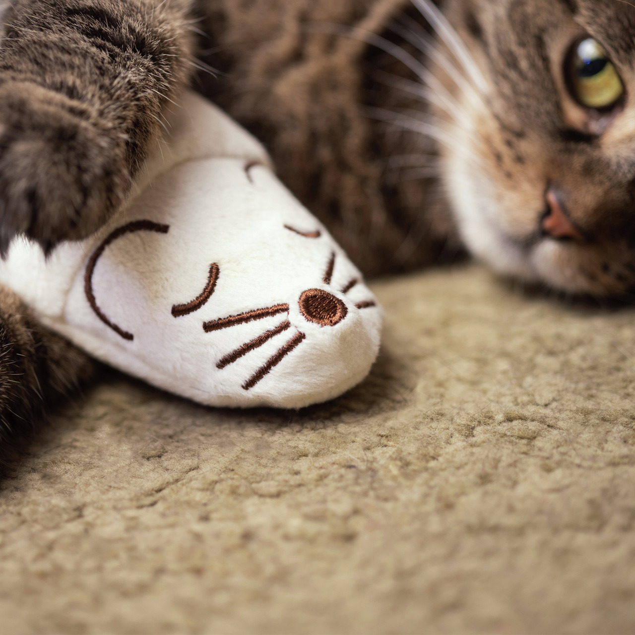 Auf dem Bild ist ein Katzenspielzeug der Marke Allpets zu sehen, das in Form einer weißen Stoffmaus gestaltet ist. Die Maus hat gestickte Details wie Augen, Schnurrhaare und eine Nase. Daneben liegt eine Katze mit braun getigertem Fell und grünen Augen, d