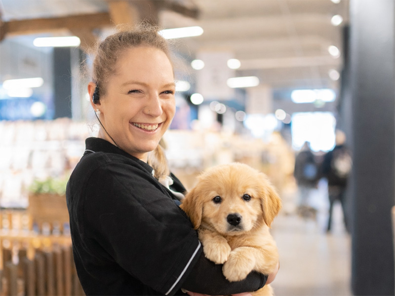 Arbeiten bei Kölle Zoo – Team und Tierliebe