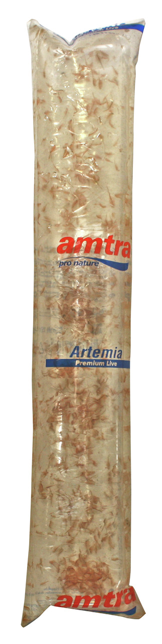 Amtra Artemia Premium Live: Lebende Futterkrebse für Aquarienfische, artgerechte Ernährung, größere Menge, ideal für Zierfische.