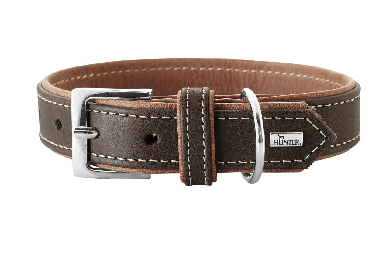 HUNTER Hundehalsband, Leder, silberne Schnalle & D-Ring, für alle Hunde, robust, elegant, langlebig, ideal für täglichen Gebrauch.
