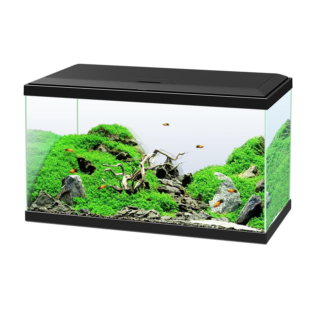 Ciano Aqua 60 Aquarium, schwarz, für Einsteiger, mit Pflanzen, Steinen & Ast dekoriert, für Zierfische, rechteckig.