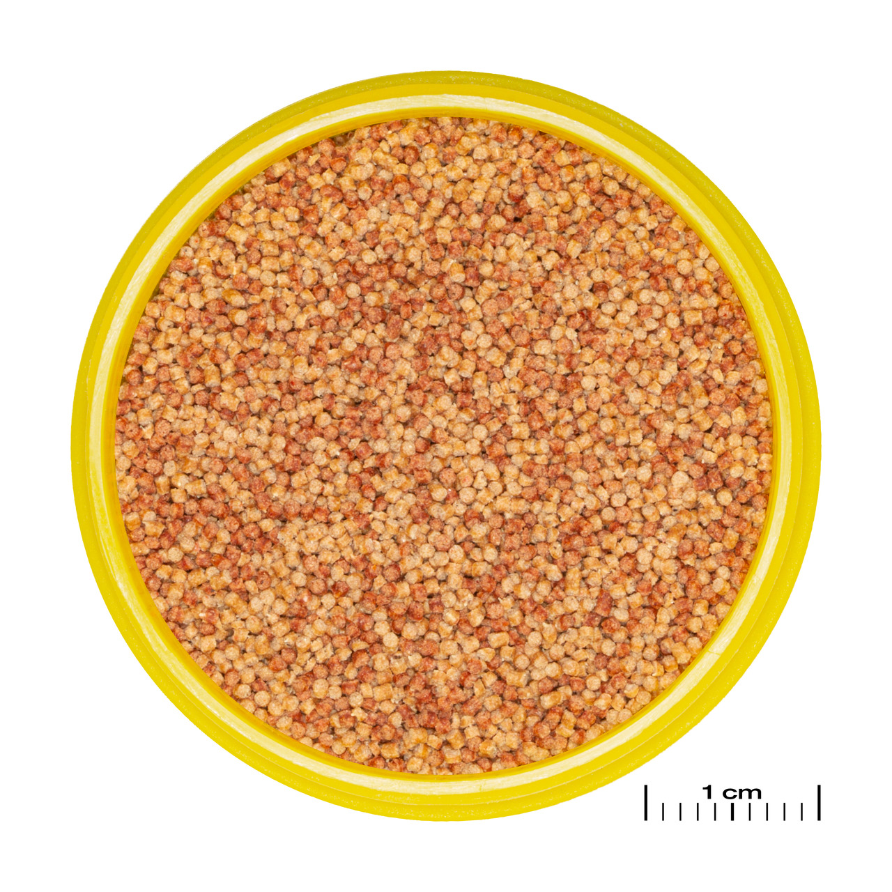 JBL NovoGranoMix Mini, Hauptfutter in Granulatform für kleine Zierfische, 100 ml, ausgewogen & nährstoffreich, für Aquarienbesitzer.