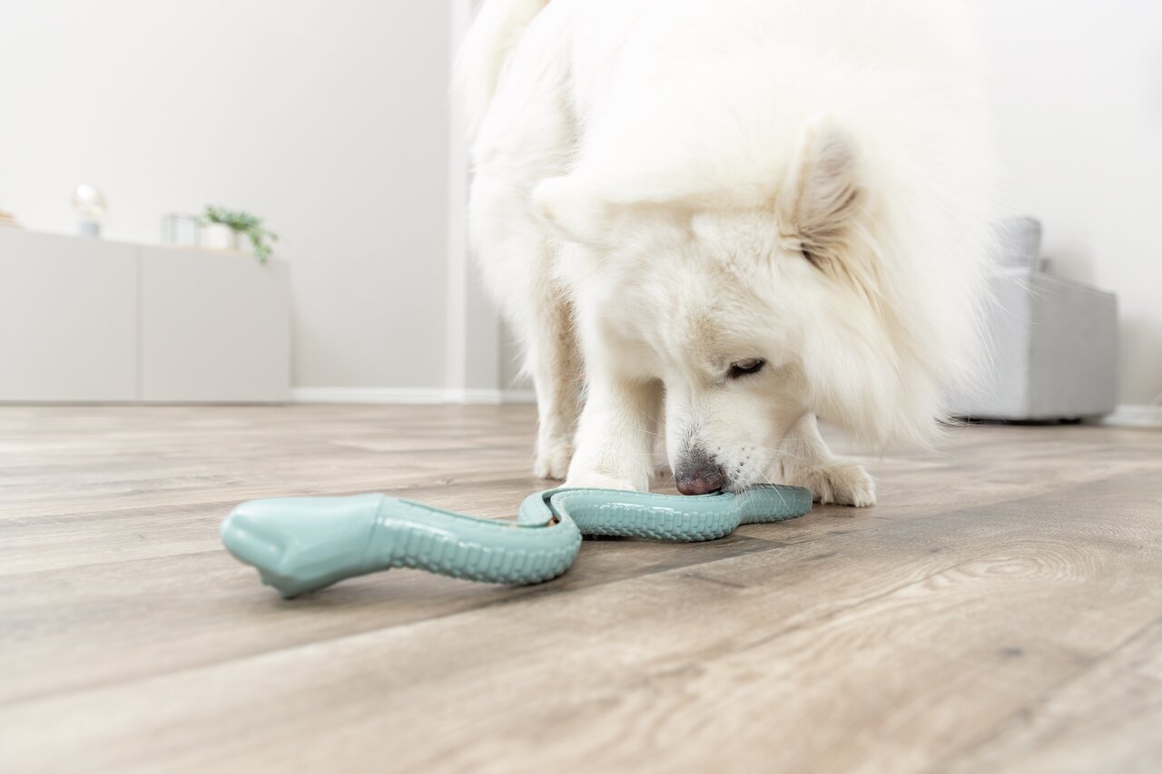 TRIXIE Fresh'n'Chew Bone, Mint, für mittelgr. Hunde, 18 cm, ideal zum Spielen & Kauen.