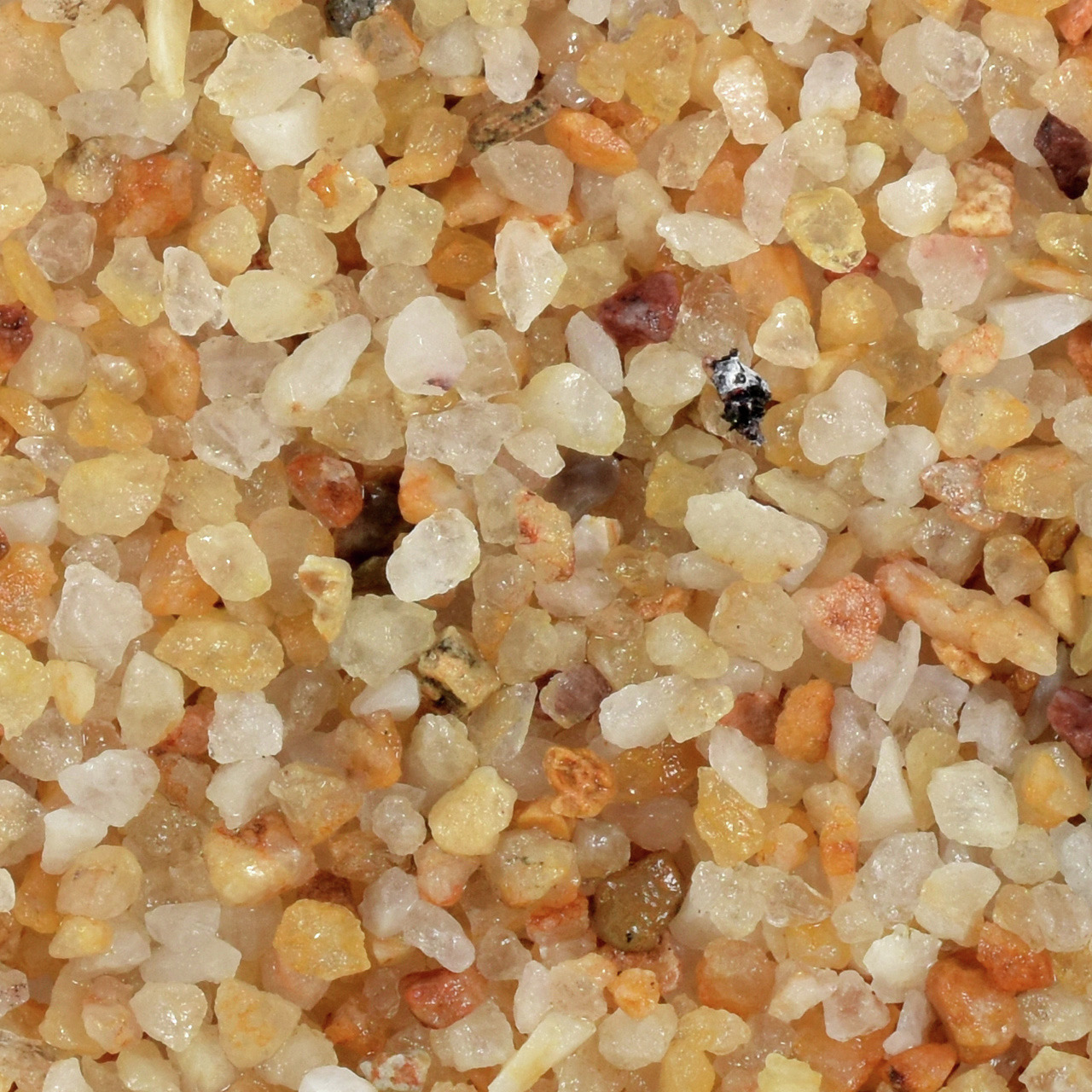 Nahaufnahme von grobkörnigem Vogelsand der Marke ALOHA, geeignet für Ziervögel. Der Sand zeigt eine Mischung aus natürlichen, beige- und braunfarbenen Körnern, die für Hygiene und Wohlbefinden der Vögel sorgen. Verpackungsmenge und weitere Details sind au