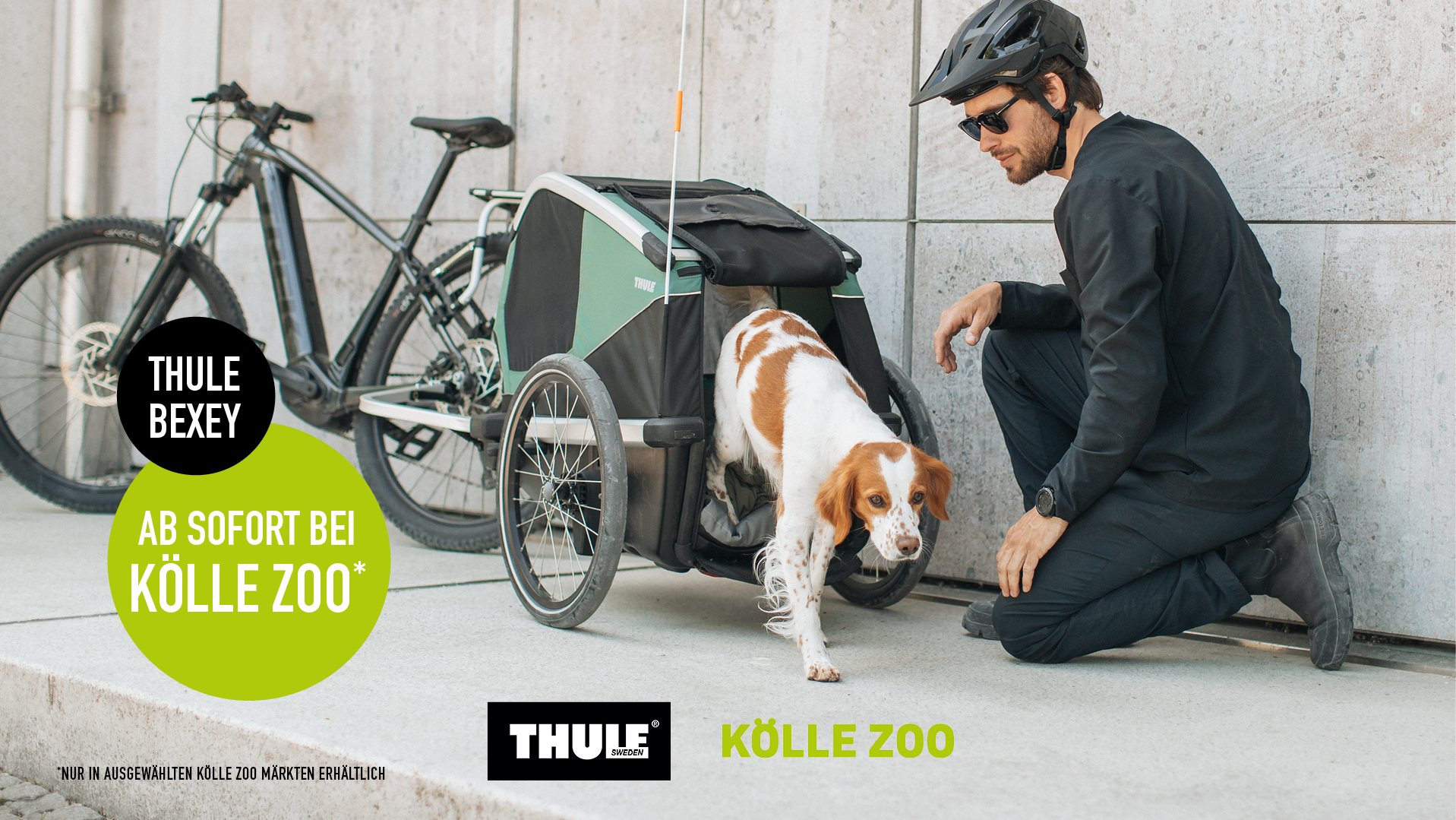 Fahrradanhänger mit Hund und Logo von THULE und Kölle Zoo
