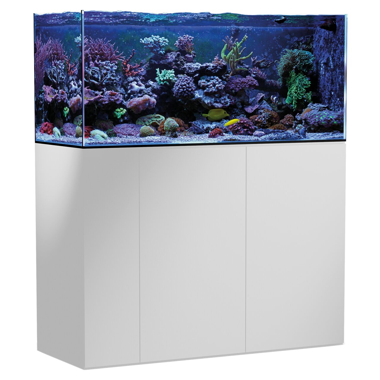 Aqua Medic Armatus 625 Meerwasseraquarium, weißer Unterschrank, ideal für Aquaristik-Fans, lebendige Korallen, Fische & Pflanzen.