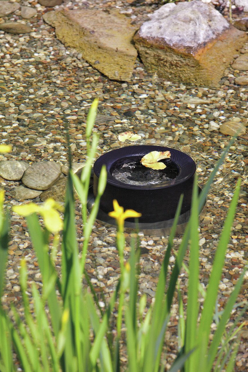 Ein schwarzer Teichbelüfter der Marke Oase, Modell Oase AquaOxy 1000, ist in einem klaren Gartenteich mit Kiesboden und umgeben von gelben Schwertlilien zu sehen. Das Gerät sorgt für eine optimale Sauerstoffversorgung des Wassers und ist ideal für Teiche 