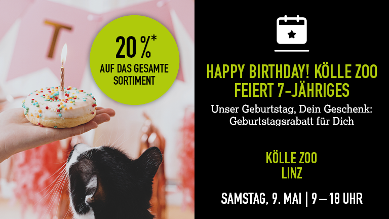 090526 Geburtstag Linz Mobile 768x432px