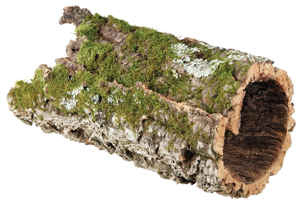 TRIXIE Korkröhren-Versteck, für Kleintiere (Hamster, Mäuse, Reptilien), aus unbehandeltem Kork, rau/moosig, ideal zum Klettern, Verstecken.