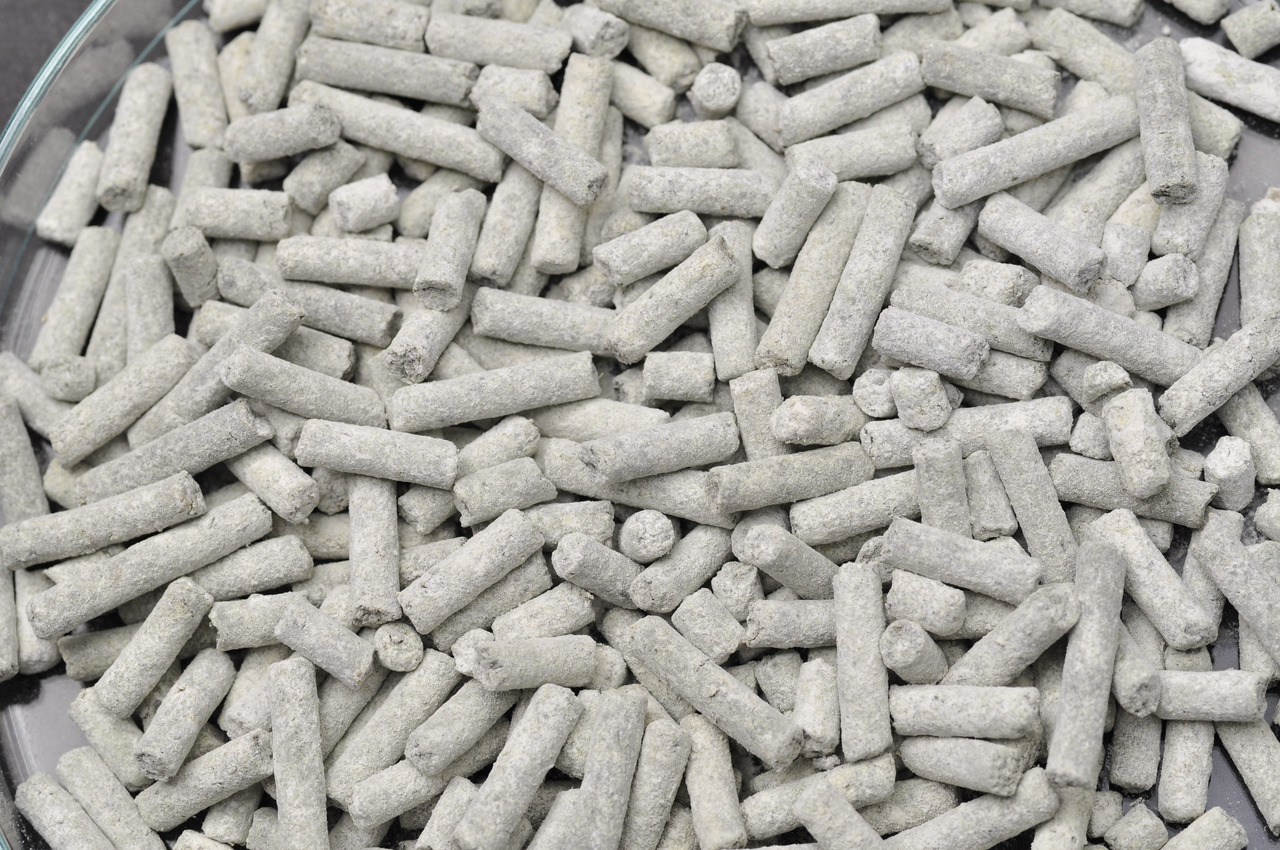 DENNERLE Shrimp King Mineral 45g Fischfutter