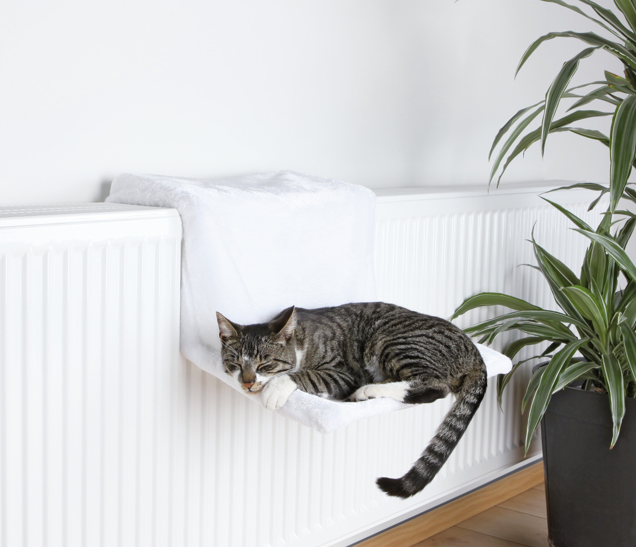 Das Bild zeigt eine grau getigerte Katze, die entspannt auf einer weißen Heizkörperliege der Marke TRIXIE ruht. Die Liege ist speziell für Katzen entwickelt und bietet eine gemütliche, warme Schlafmöglichkeit. Zielgruppe sind Katzenhalter, die ihren Tiere