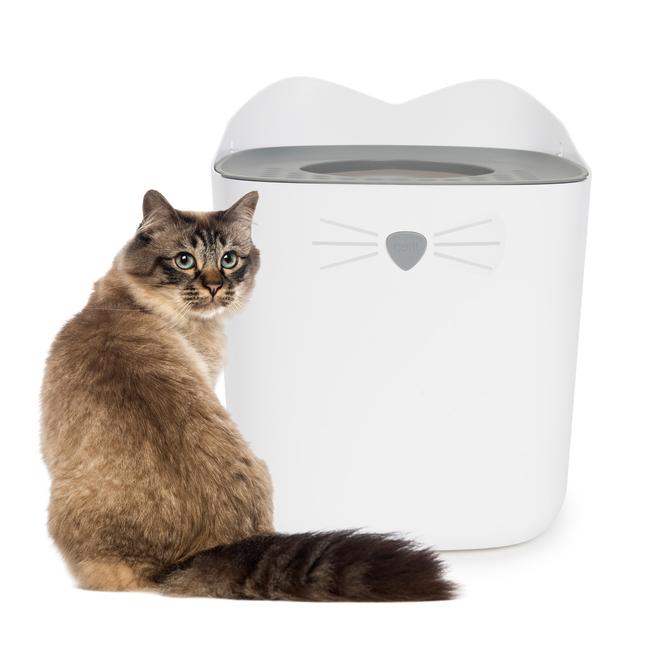 Das Bild zeigt eine weiße Katzentoilette der Marke Catit mit einem modernen, geschlossenen Design und einem katzenförmigen Deckel. Daneben sitzt eine langhaarige Katze mit braunem Fell und grünen Augen. Die Katzentoilette ist für Katzen aller Altersgruppe