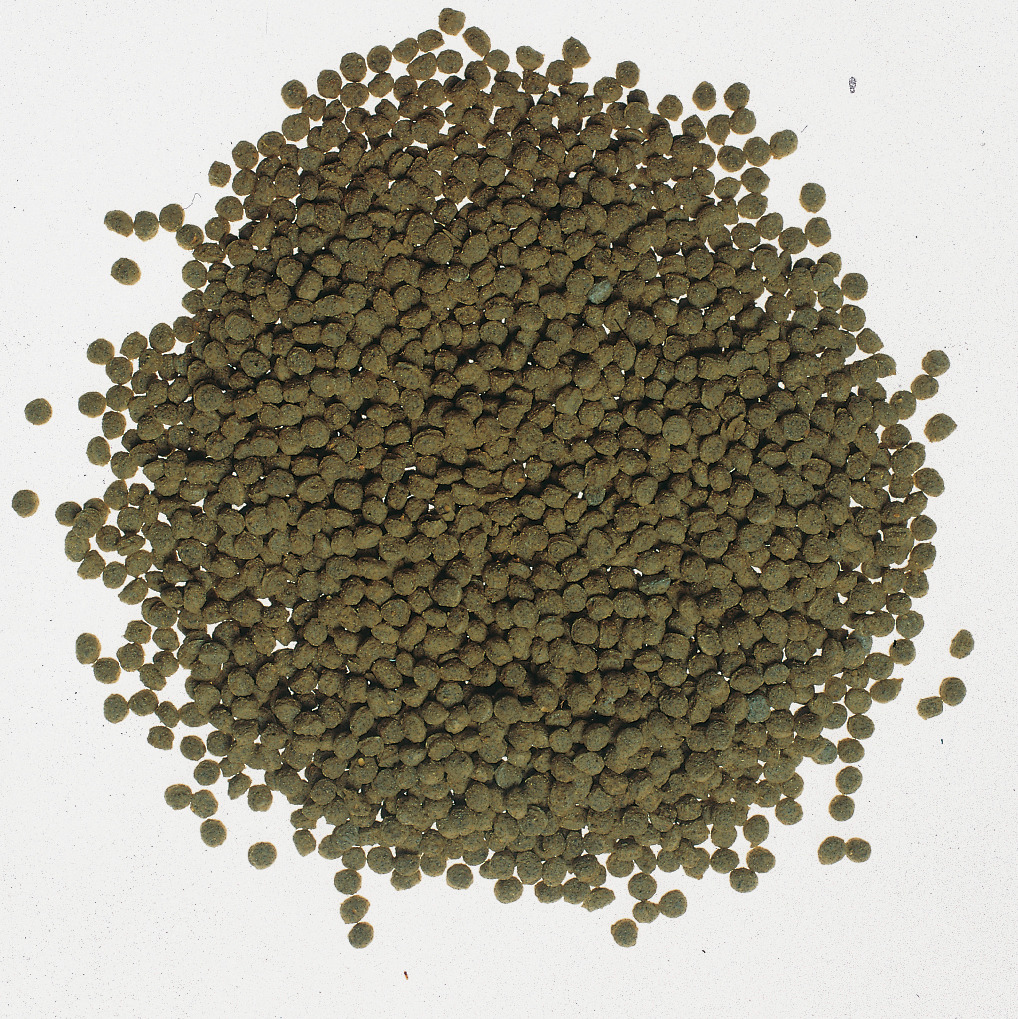 Tetra Pond Sticks, Hauptfutter für Teichfische, leicht verdaulich, fördert Gesundheit, Menge: mehrere Hundert Sticks.