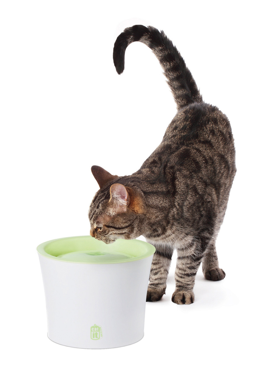 Catit Trinkbrunnen Fresh & Clear, für Katzen, weiß/grün, sorgt für frisches, zirkulierendes Wasser, fördert Flüssigkeitsaufnahme.