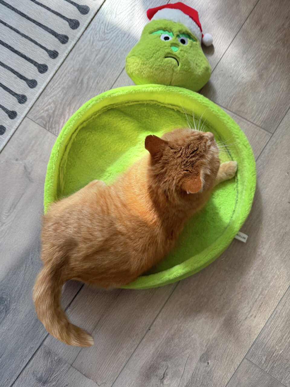 Kuscheliges Katzenbett von Aumüller in Grün mit Grinch-Motiv, ideal für Katzen. Hoher Komfort und weiche Materialien.