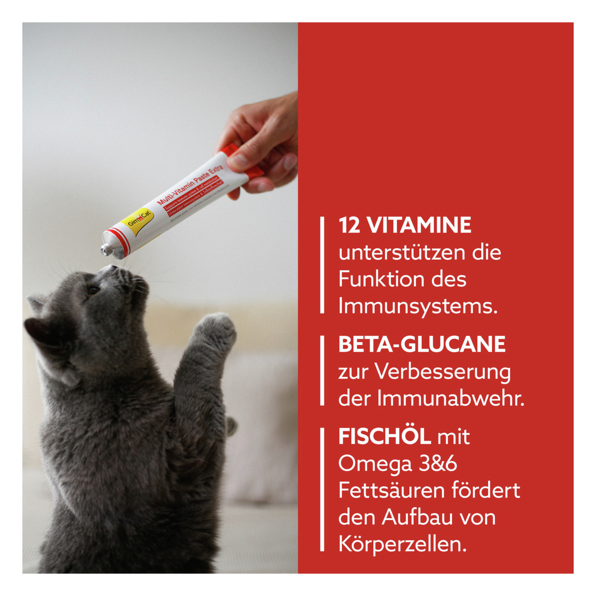 GimCat Multi-Vitamin Paste Extra, für Katzen, mit 12 Vitaminen, Beta-Glucanen, Omega-3/-6, Immunsystem, Zellaufbau, Tube.
