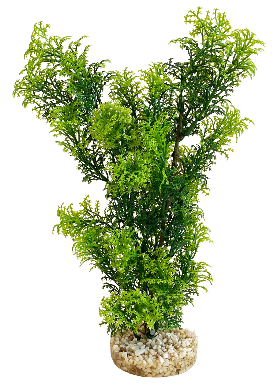 Sydeco Jungle Medium 28 cm