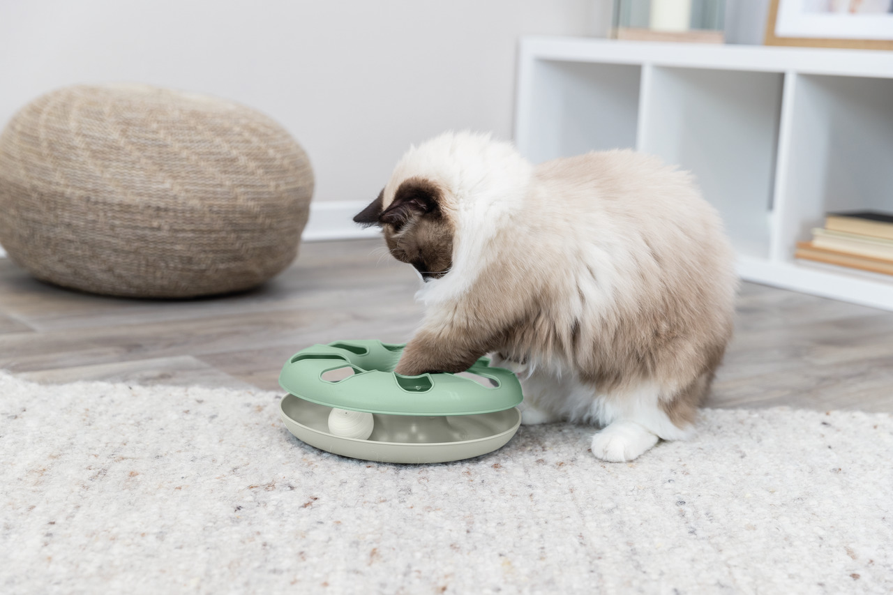 Auf dem Bild ist eine Katze zu sehen, die mit dem TRIXIE Cat Activity Spielzeug interagiert. Dieses interaktive Spielzeug ist für Katzen aller Altersgruppen geeignet und fördert die geistige und körperliche Aktivität. Es besteht aus einem grünen Kunststof