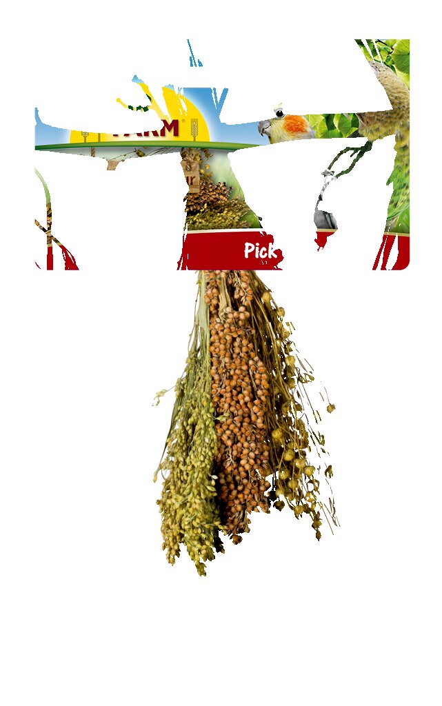 JR FARM Pick & Fly, Vogelfutter für Ziervögel (Wellensittiche, Papageien), versch. Hirsesorten, ca. 100 g, ideal zum Picken & Spielen.