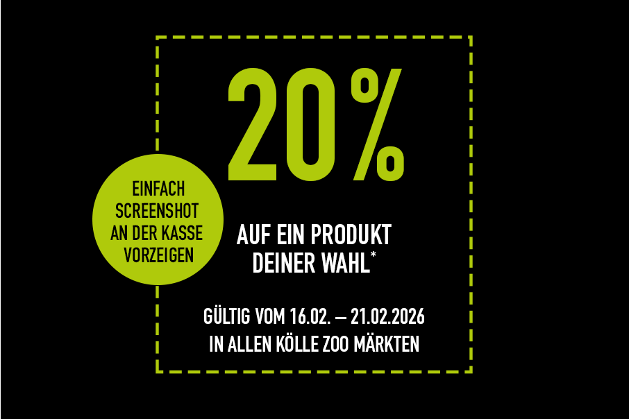 Ldht 2026 20p Markt Lp