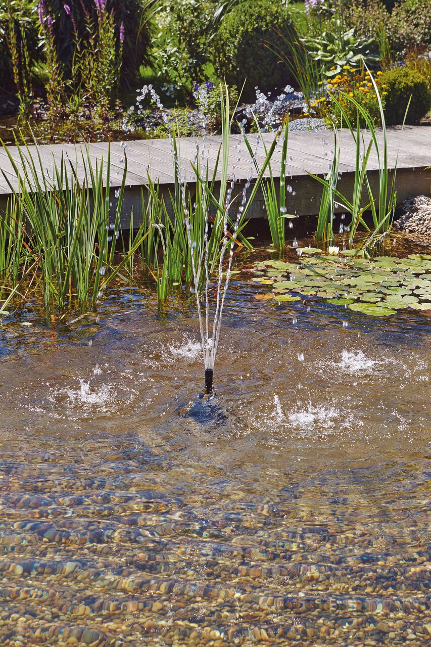 Pontec Wasserspiel, ideal für Teichliebhaber, erzeugt feine Fontänen. Perfekt für klare Gartenteiche mit Seerosen & Schilf.
