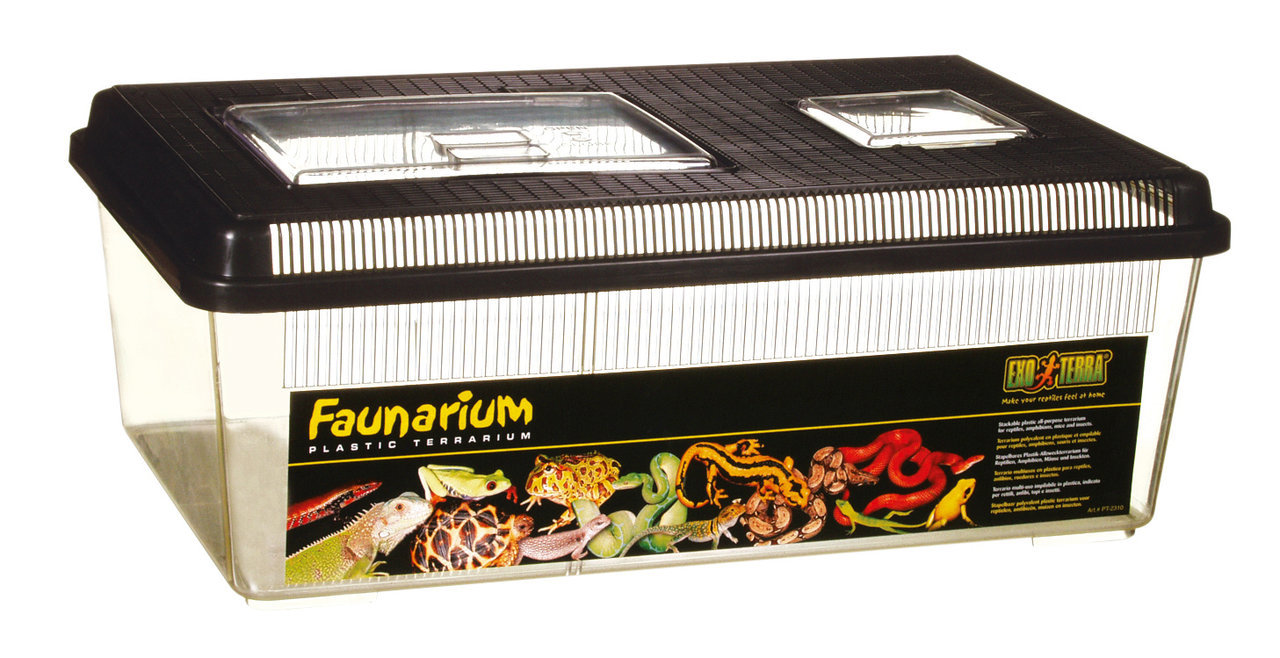 Exo Terra Faunarium: Tragbares Terrarium für Reptilien, Amphibien & Insekten. Ideal für Transport/Unterbringung. Rechteckig, 125 ml.