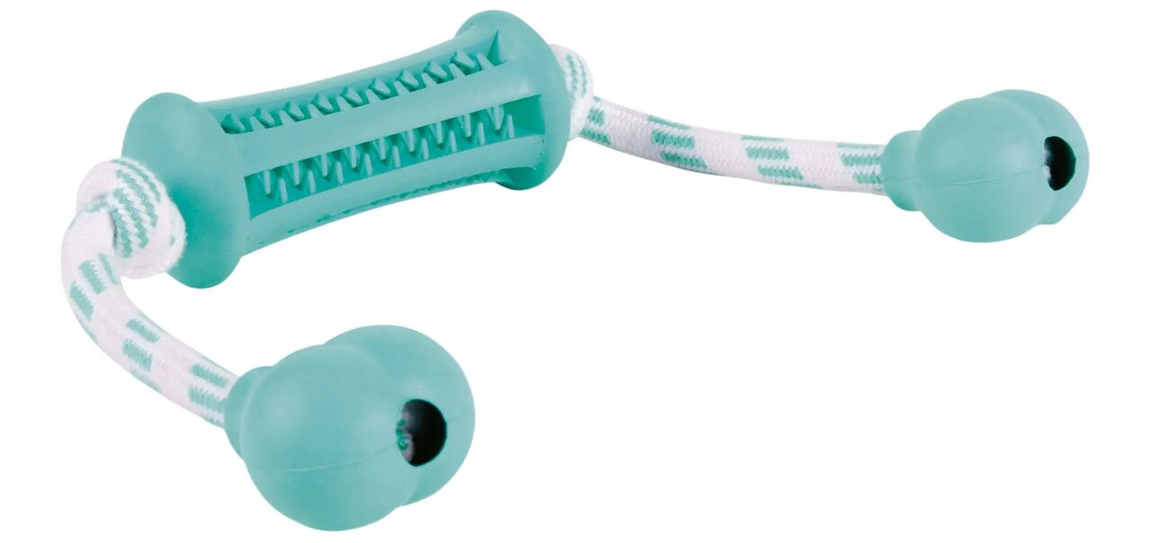 Kauspielzeug TRIXIE für Hunde, mintgrün, robustes Design mit Seil und Gummielementen zur Zahnpflege, ca. 20 cm lang.