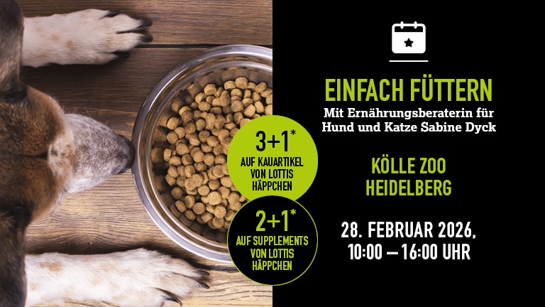 280226 Ernhrungsberatung Heidelberg Mobile 768x432px