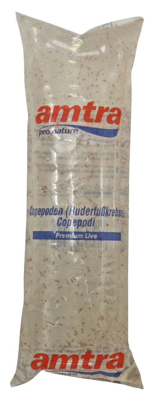 amtra Copepoden – Premium Live, lebendes Fischfutter für Aquarienbesitzer, Inhalt: lebende Copepoden in Flüssigkeit.