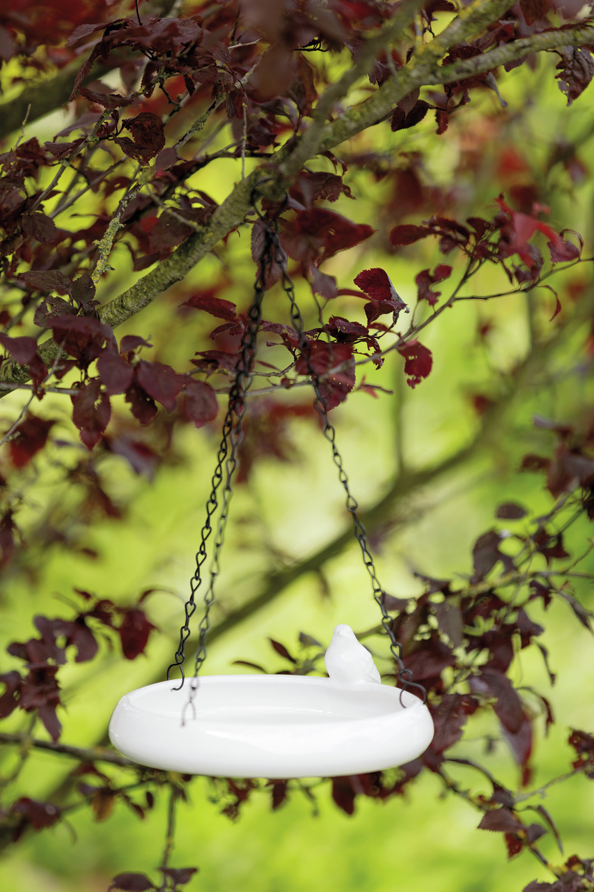 TRIXIE Vogeltränke, Keramik, Wildvögel, weiß, schlichtes Design mit Vogelverzierung, Metallketten, ideal für Bäume, Sommer, Wasser.