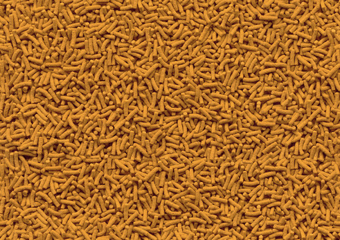 Tetra Pond Sticks: Hauptfutter für Teichfische, geeignet für Koi & Zierfische, ausgewogene Ernährung, schwimmend.