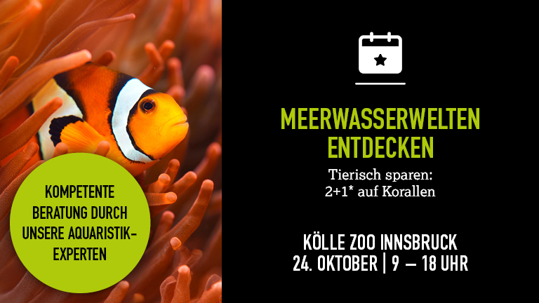241026 Meerwassertag Innsbruck Mobile 768x432px