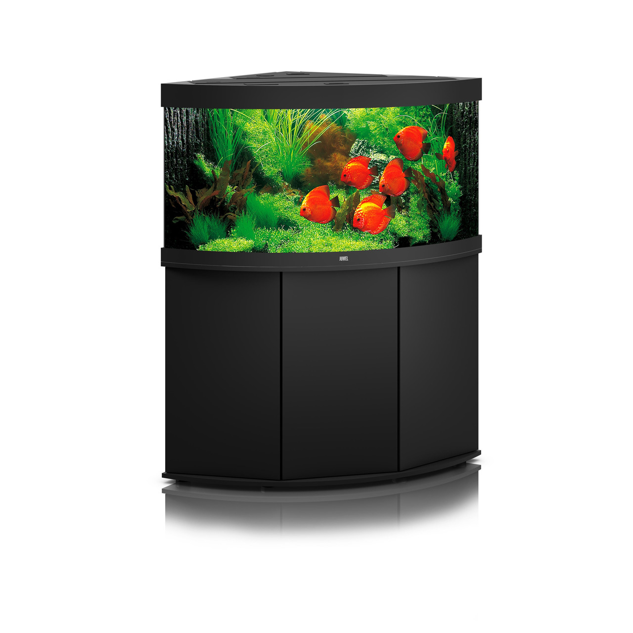 Das Bild zeigt das JUWEL Vision 260 LED Aquarium mit passendem Unterschrank in Schwarz. Das Aquarium ist für Aquaristik-Enthusiasten geeignet und bietet ein Fassungsvermögen von 260 Litern. Es ist mit einer LED-Beleuchtung ausgestattet und zeigt eine lebe