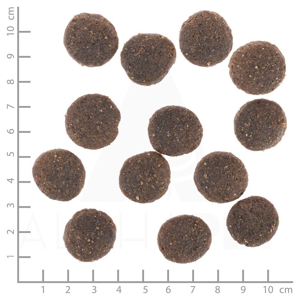 Wolfsblut Trockenfutter Wild Duck (Ente) für ausgewachsene Hunde, 1,5 cm Kroketten, rund & dunkelbraun, mit Maßskala.