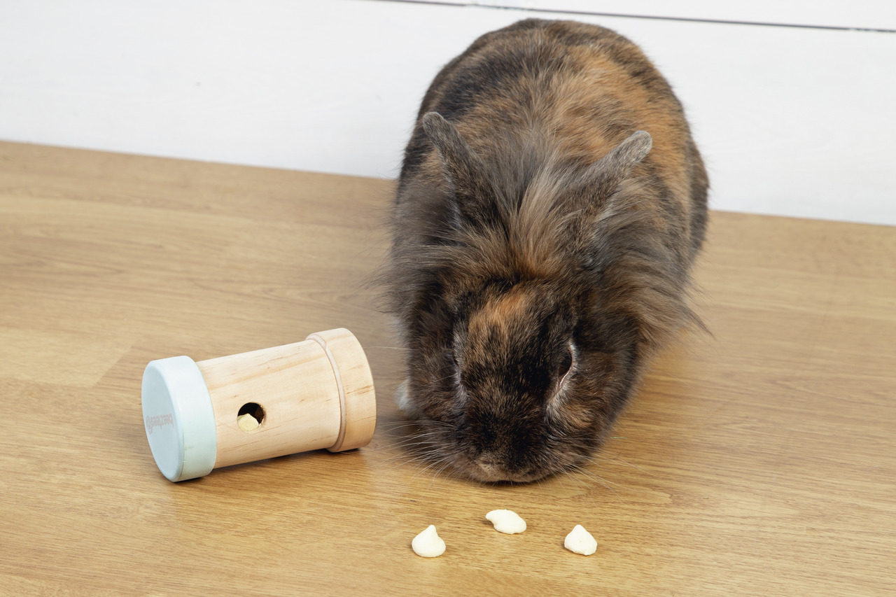 Beeztees Snackspielzeug Holz, zylindrisch m. blauer Abdeckung, für Kaninchen, inkl. Leckerlis, fördert spielerische Beschäftigung.