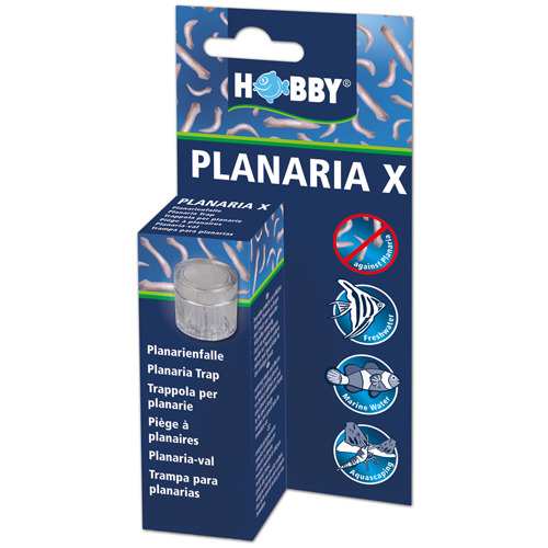 HOBBY Planaria X Planarienfalle Tierpflege