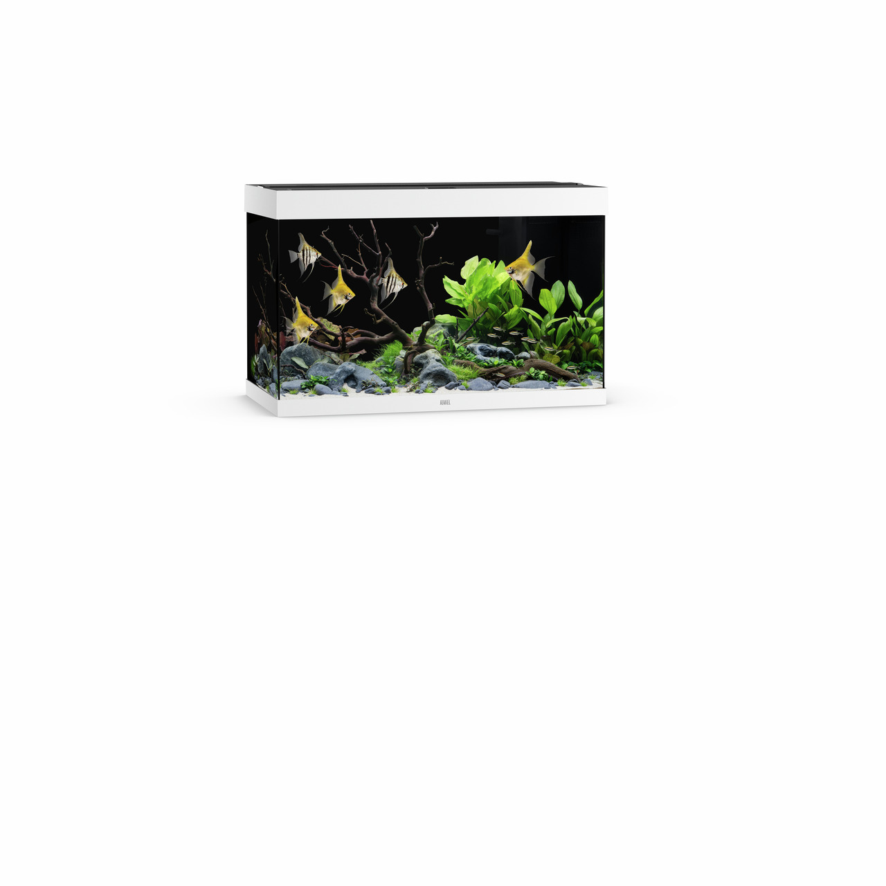 JUWEL Aquarium LIDO 200 LED, Weiß, 200 L, für Süßwasserfische, inkl. Pflanzen, Steine, Skalare, ideal für Aquaristik-Fans.
