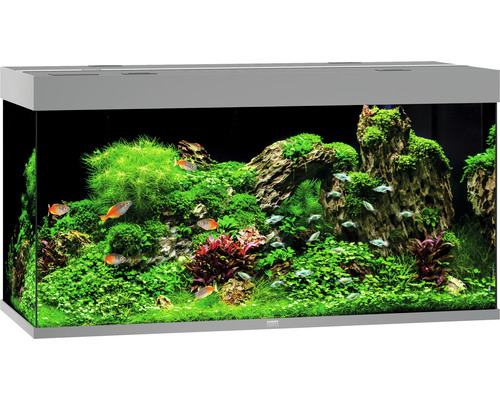 JUWEL Aquarium, rechteckig, modern, ideal für Süßwasserfische & Pflanzen, mit grüner Unterwasserlandschaft, Felsen & trop. Fischen.