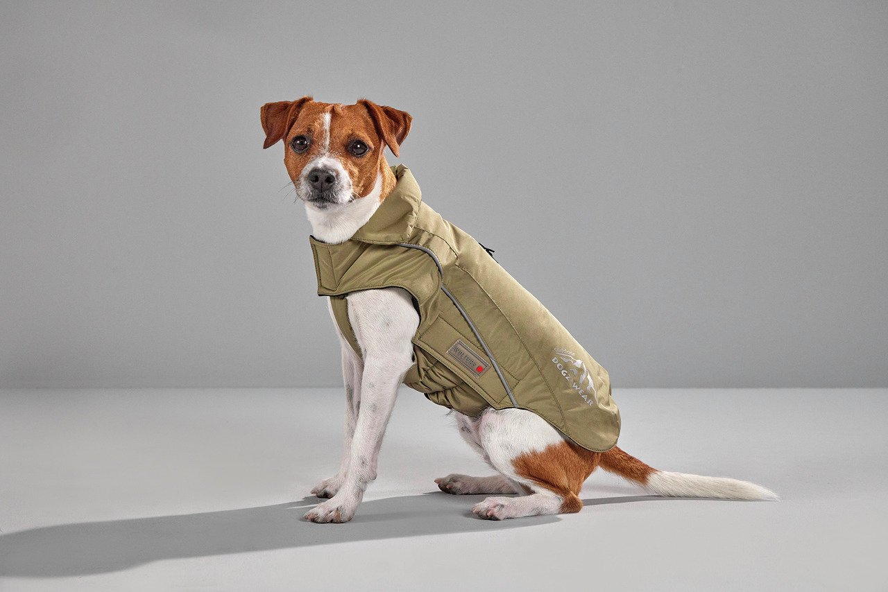 Wolters Skijacke Dogz-Wear 65 cm grün