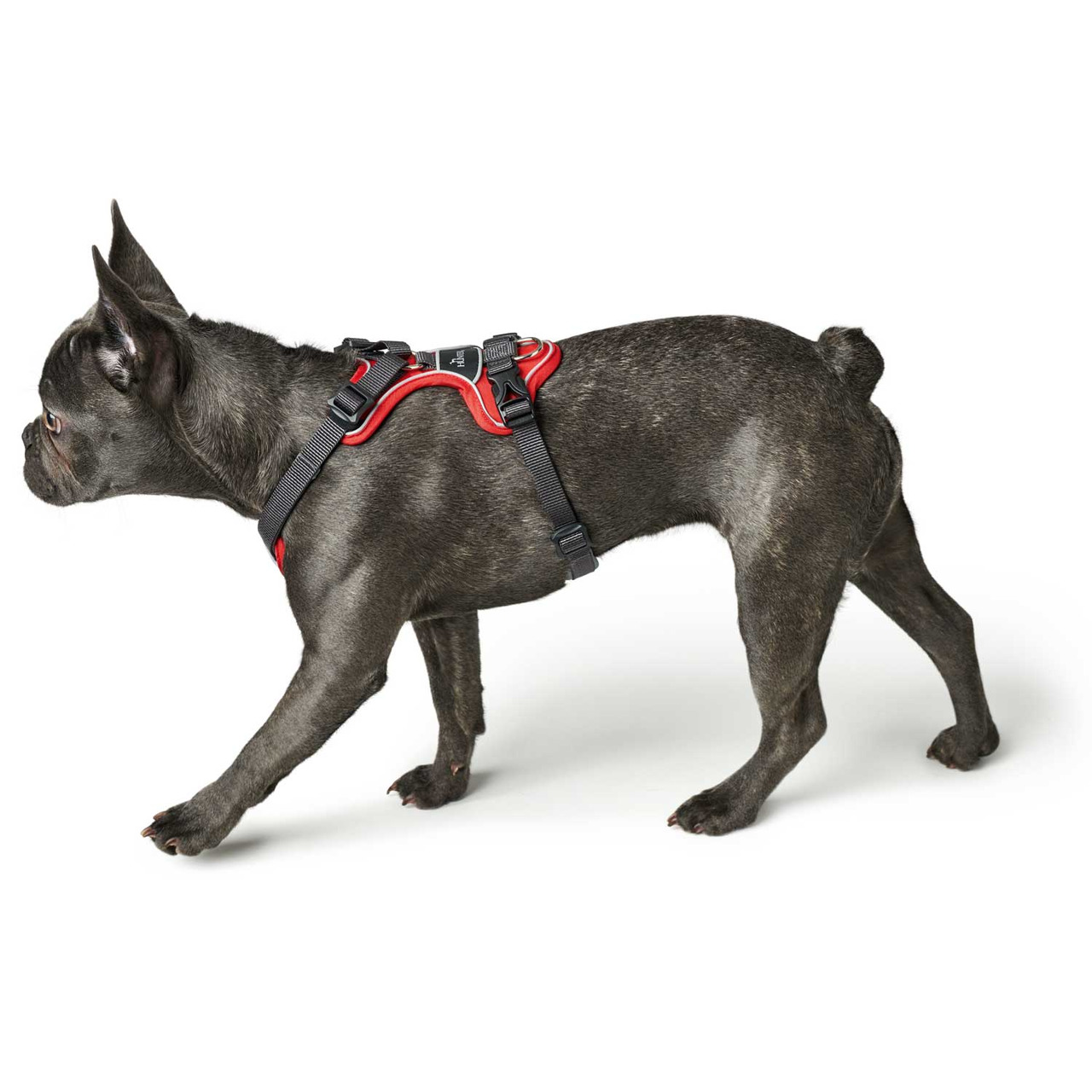 HUNTER ergonomisches Hundegeschirr, Rot-Schwarz, für kleine-mittelgroße Hunde, hoher Tragekomfort & Sicherheit, ideal für Spaziergänge.