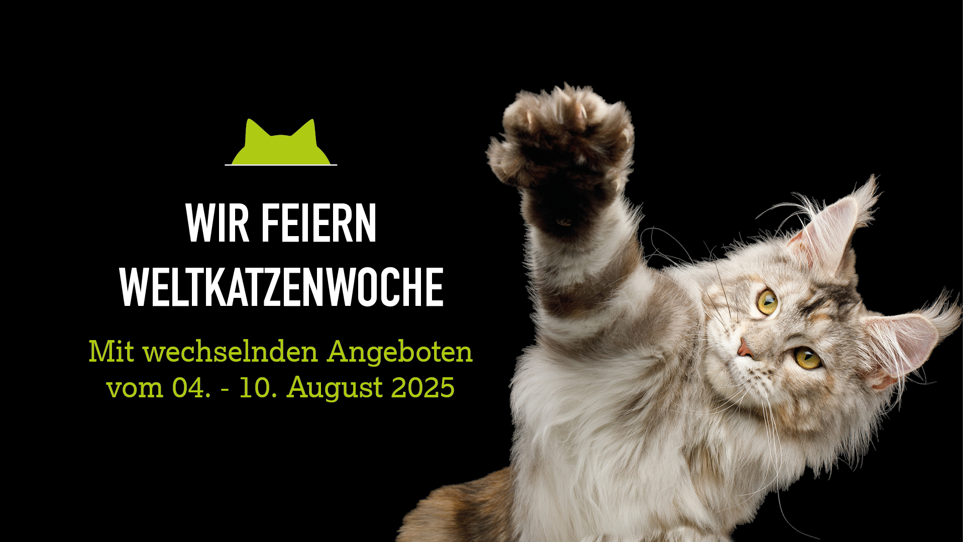 Weltkatzenwoche Banner Ankündigung 04.-10.08.25