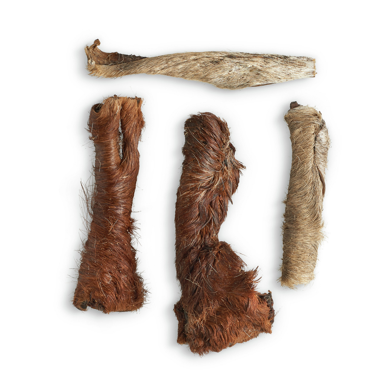 Lottis Häppchen: Natürl. Snack f. Hunde, getr. Rinderkopfhaut m. Fell, fördert Zahnpflege & artgerechte Beschäftigung.