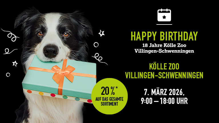 070326 Geburtstag Vill Schwenn Mobile 768x432px